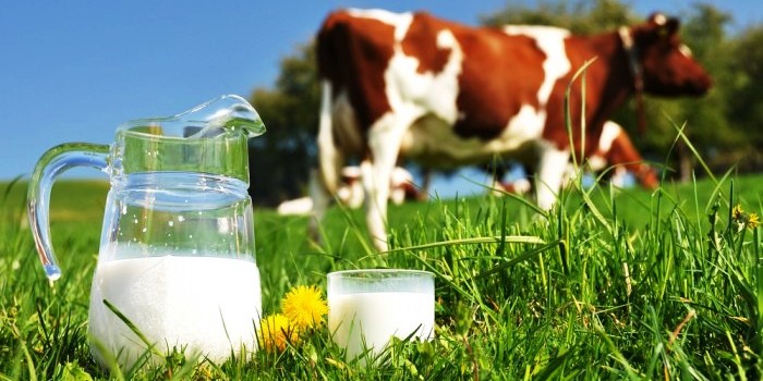 Американский Склад 17 Унций Мл Молочной Бутылки С Водой Тумблер Молоко От 13 руб. | DHgate